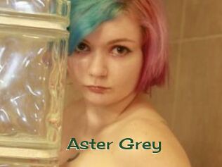 Aster_Grey