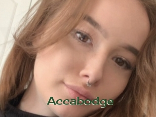 Accabodge