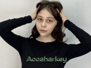 Accaharkey