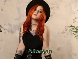 Alicewin