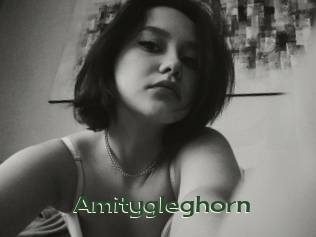 Amitygleghorn