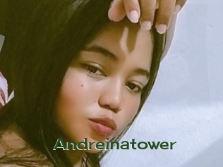 Andreinatower