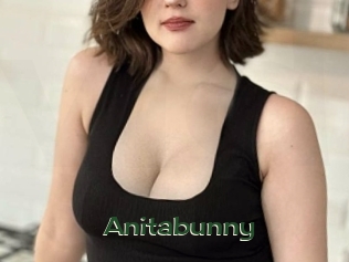 Anitabunny