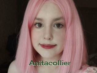 Anitacollier