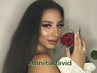 Annitadavid