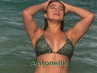 Antonellla