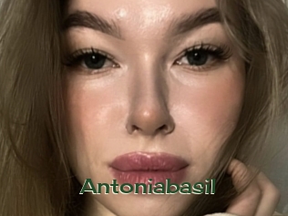 Antoniabasil