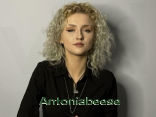 Antoniabeese