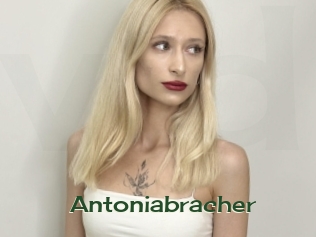 Antoniabracher