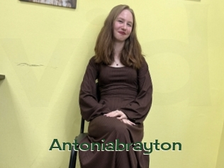 Antoniabrayton