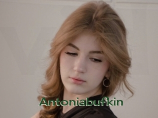 Antoniabufkin