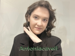 Antoniacavell