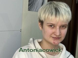 Antoniacowick