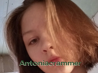 Antoniacrammer