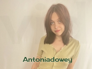 Antoniadowey