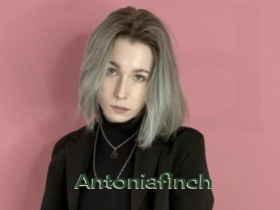 Antoniafinch