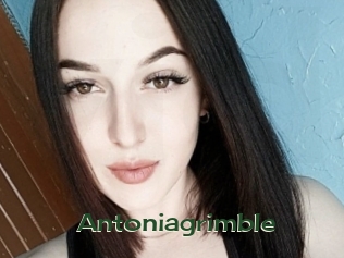 Antoniagrimble