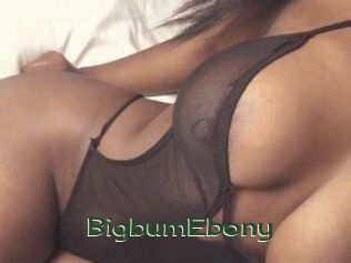 BigbumEbony