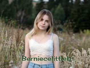 Berniecelittleb