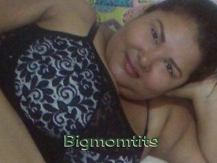 Bigmomtits