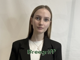 Breegriff