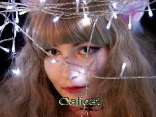 Calicat