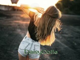 DaisyColle