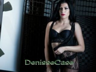 DenisseCase