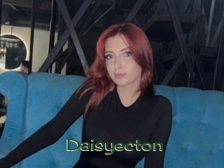 Daisyecton