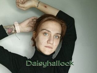 Daisyhallock