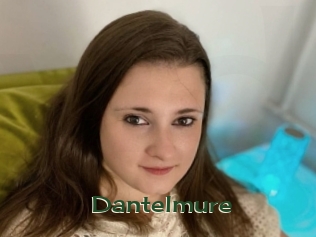 Dantelmure