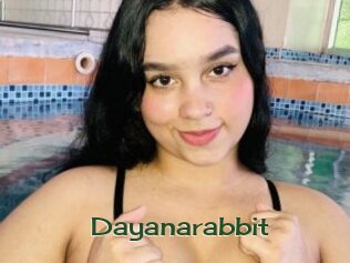 Dayanarabbit