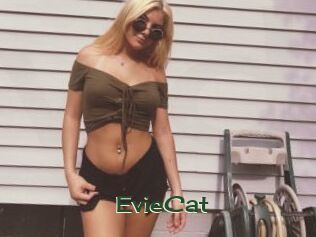 EvieCat