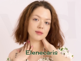 Elenecaris