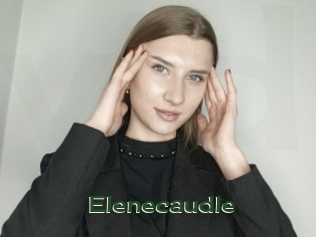 Elenecaudle