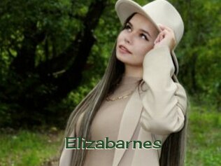 Elizabarnes