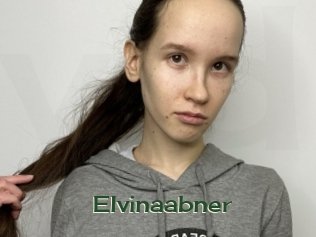 Elvinaabner