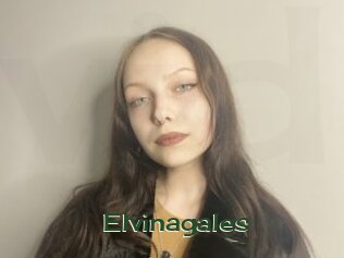 Elvinagales