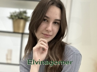 Elvinagomer