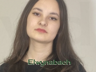 Elwynabach