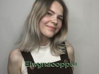 Elwynacopple