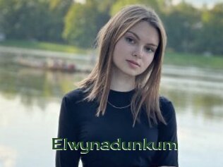 Elwynadunkum