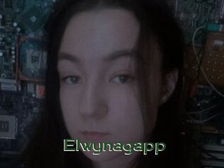 Elwynagapp