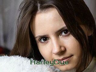 Harley_Due