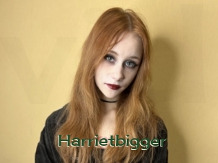 Harrietbigger