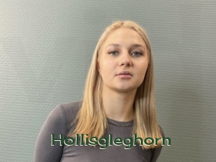 Hollisgleghorn