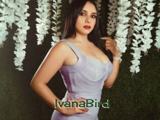 IvanaBird