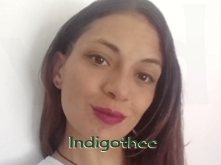 Indigothcc