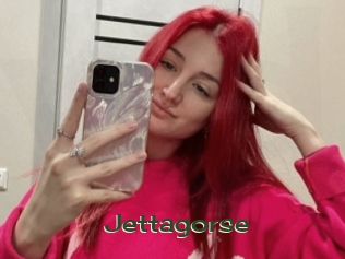 Jettagorse