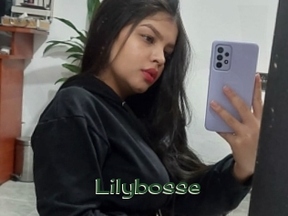 Lilybosse